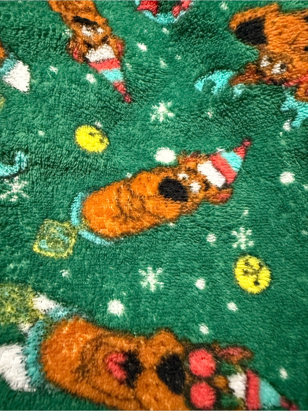 Scooby Doo Festive Green Plush Blanket with Holiday Print PJ Pants